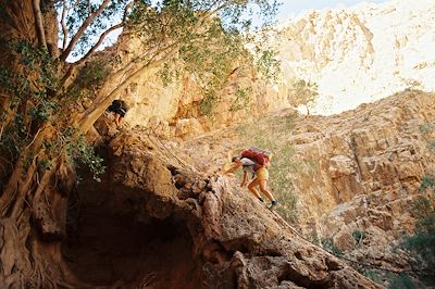 Trek en  Namibie 