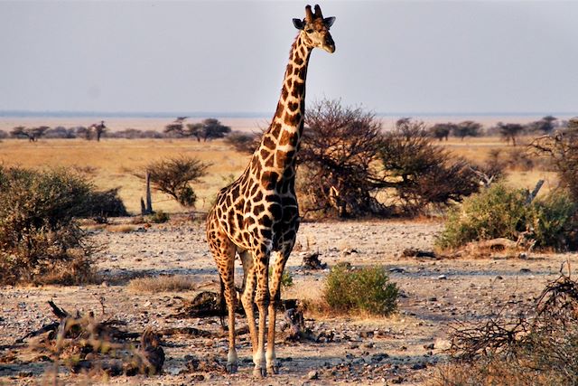 Autotour Namibie