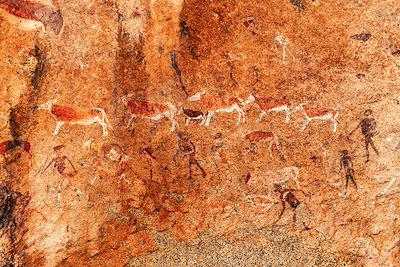 Peinture des Bushmen - Namibie
