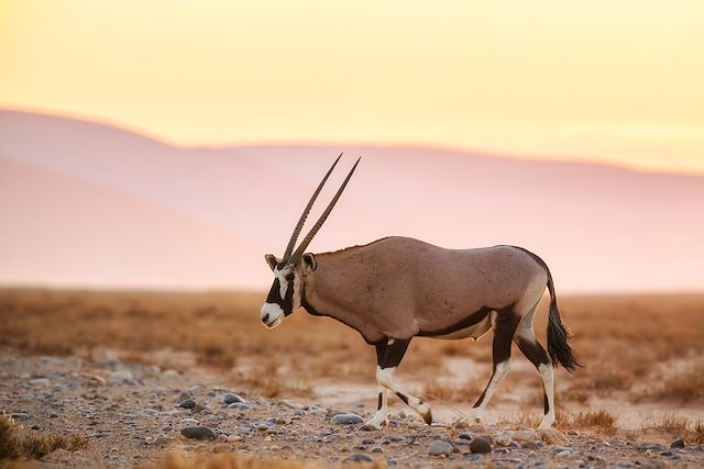Autotour Namibie Désert du Namib
