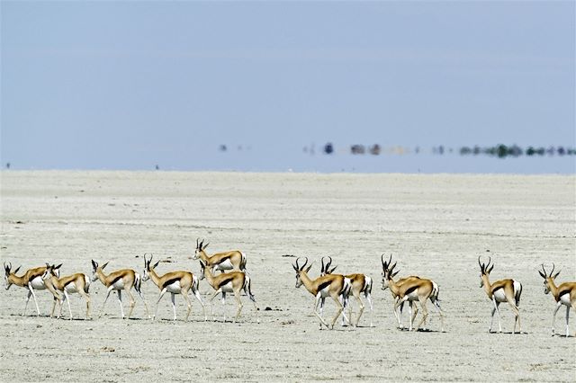 Autotour Namibie Damaraland