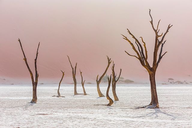 Autotour Namibie Damaraland