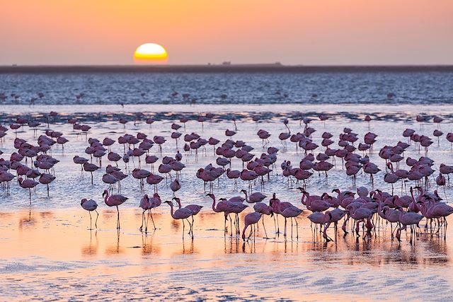 Autotour Namibie