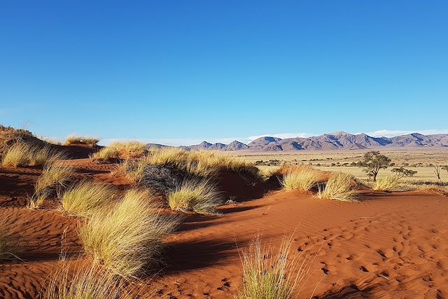 Trek Namibie Désert du Namib