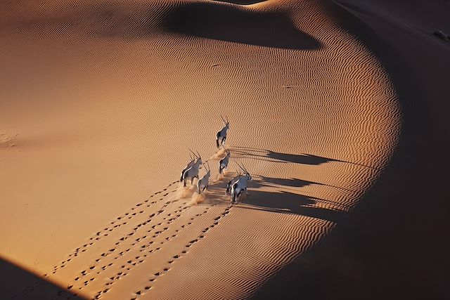 Découverte Namibie Désert du Namib