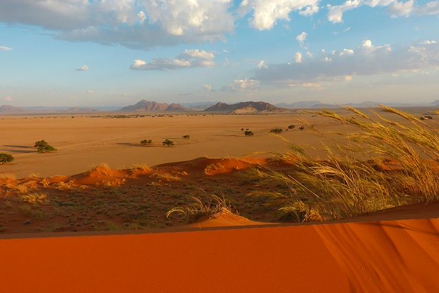Découverte Namibie Désert du Namib