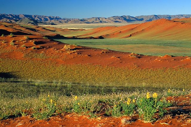 Découverte Namibie Désert du Namib