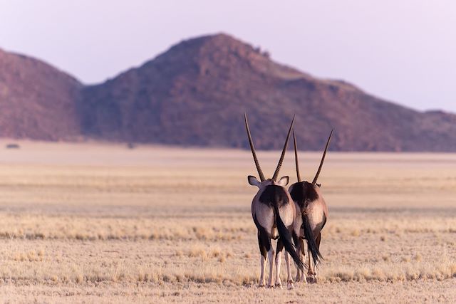Découverte Namibie Désert du Namib