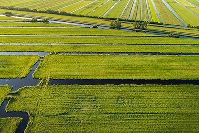 Vue aérienne de polders près de Gouda - Pays-Bas
