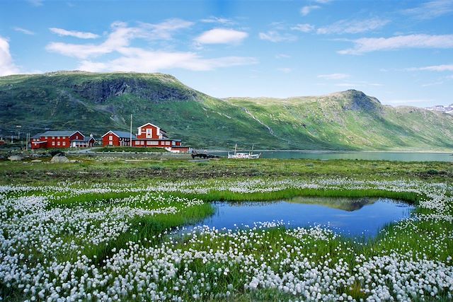Randonnée Norvège Région des fjords