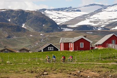 Mjolkevegen - Valdres - Norvège