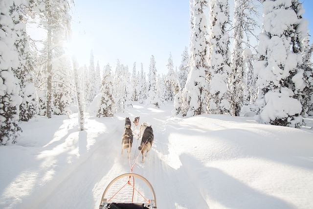 Aurores boréales Norvège Laponie finlandaise