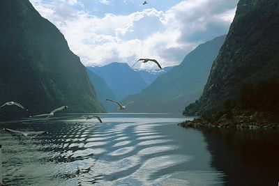 Sognefjord - Norvège