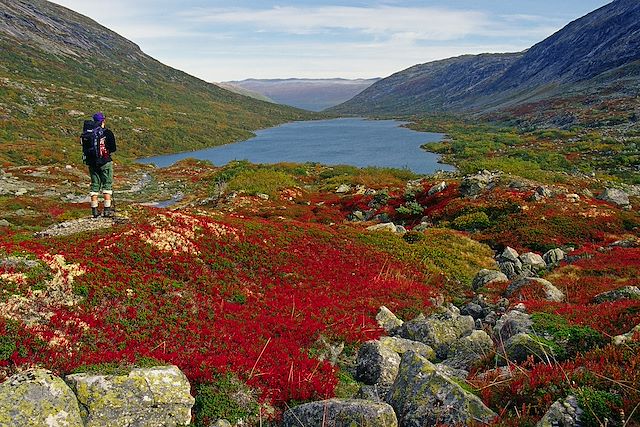 Randonnée Norvège Région des fjords