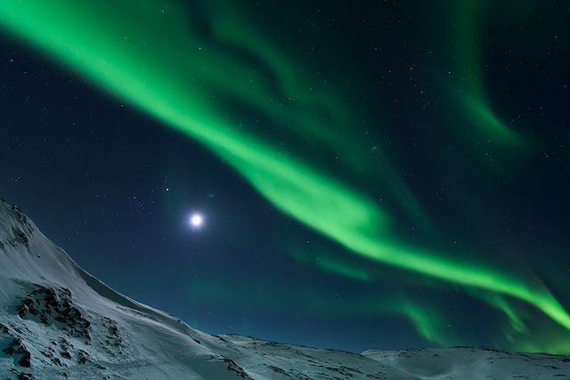 Observation animalière Norvège Laponie norvégienne