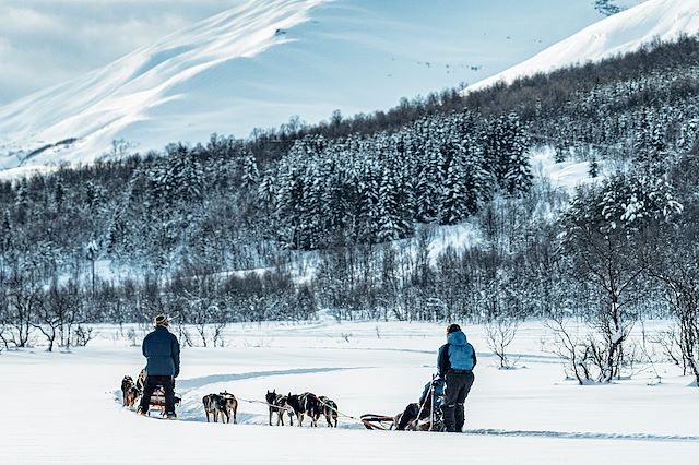 Traîneau à chiens Norvège