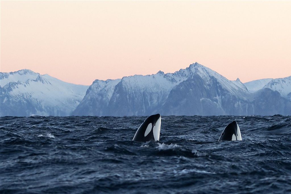 Voyage Région des fjords