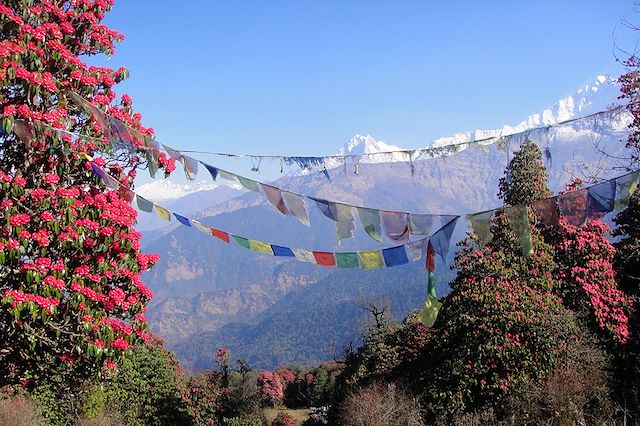 Trek Népal Annapurnas