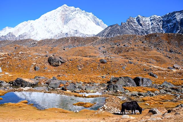 Trek Népal Everest