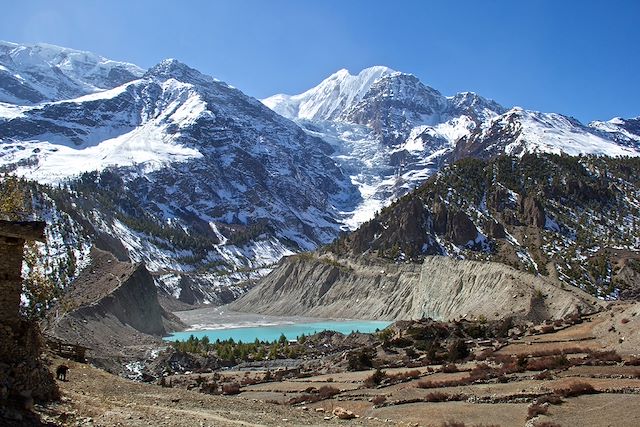 Trek Népal Annapurnas