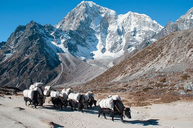 Trek Népal Everest