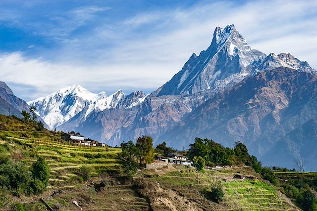 Randonnée Népal Annapurnas