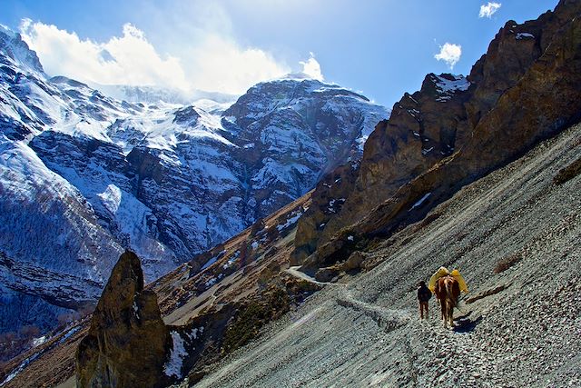 Trek Népal Annapurnas