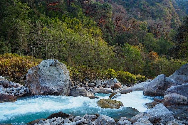 Trek Népal Langtang