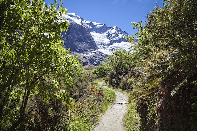 Randonnée Nouvelle-Zélande