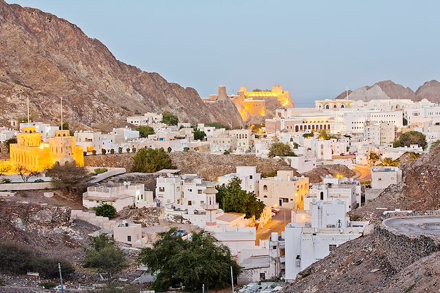 Découverte Oman Canyon et oasis