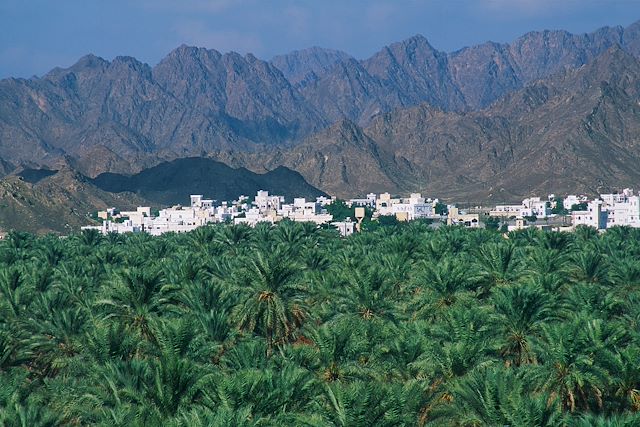 Découverte Oman Canyon et oasis