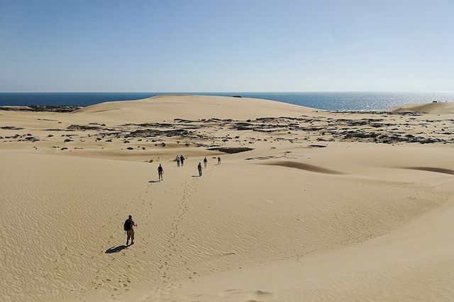 Découverte Oman Canyon et oasis