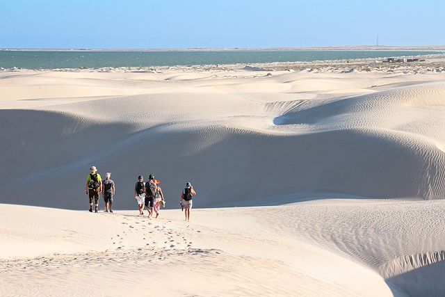 Découverte Oman Canyon et oasis