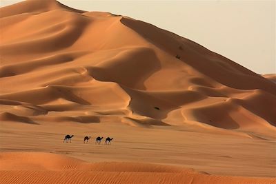 Voyage Canyon et oasis