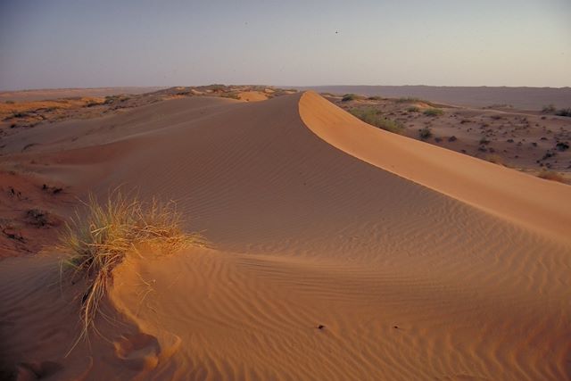 Découverte Oman Canyon et oasis