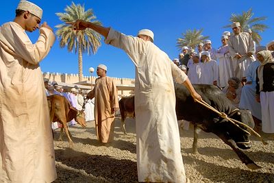 Nizwa - Oman