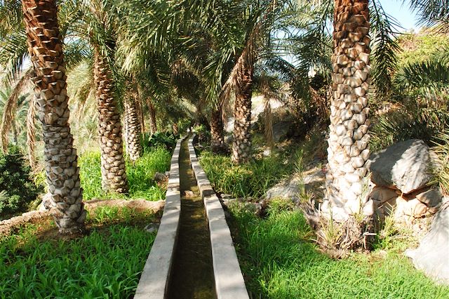 Découverte Oman Désert des Wahibas
