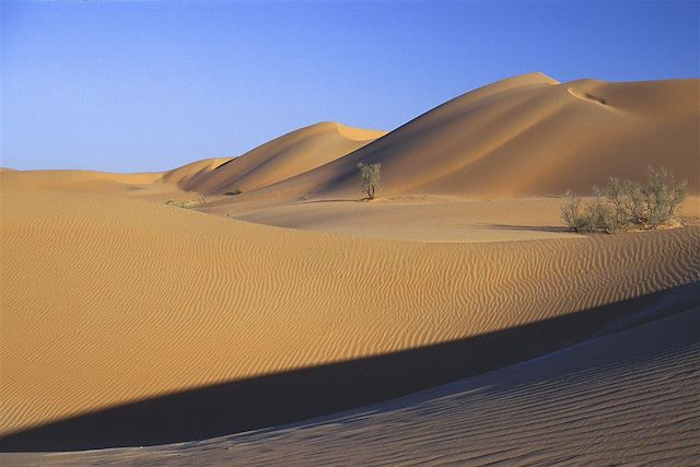 Découverte Oman Désert des Wahibas