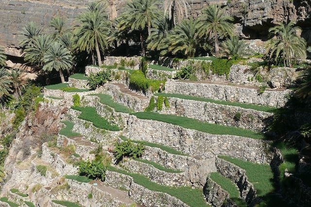 Randonnée Oman Canyon et oasis