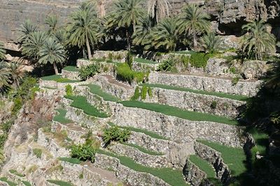 Voyage Montagnes Akhdar et Shams