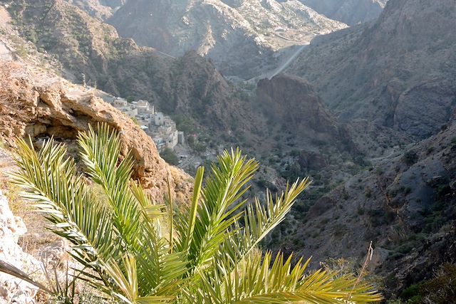 Randonnée Oman Canyon et oasis