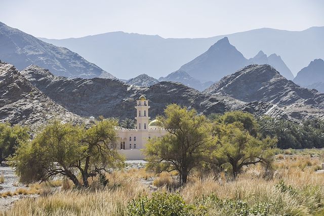 Randonnée Oman Canyon et oasis