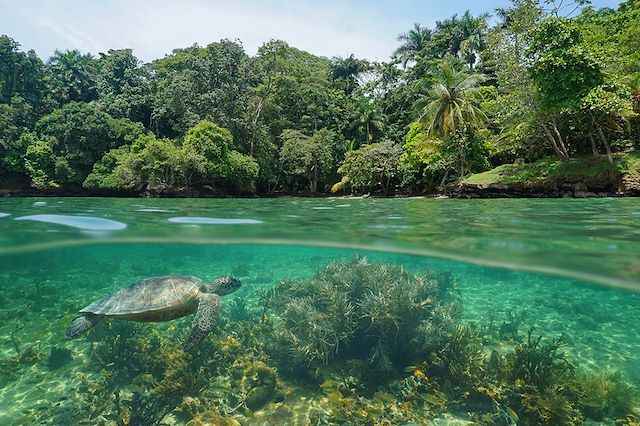 Découverte Panama