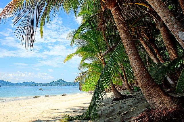 Découverte Panama
