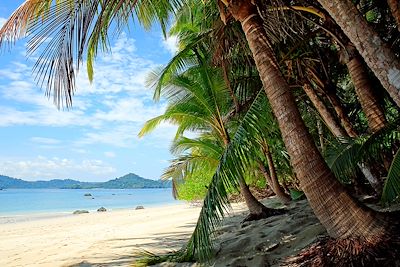Ile Coiba - Panama
