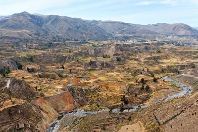 Le canyon de Colca - Province d'Arequipa - Pérou