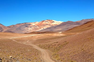 Piste à travers le Sud Lipez - Bolivie