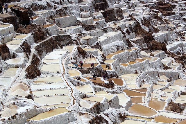 Trek Pérou Arequipa et Canyon de Colca