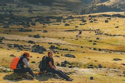 Randonnée avec les lamas entre Lares et Challwacocha