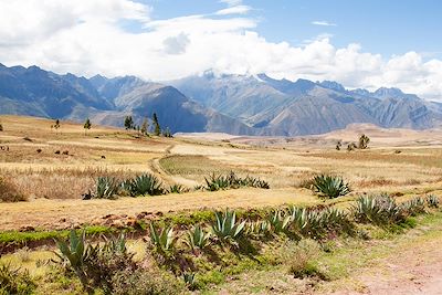 Randonnée entre Moray et Maras - Vallée sacrée des Incas - Province de Cuzco - Pérou
